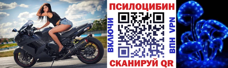 Галлюциногенные грибы MAGIC MUSHROOMS  Купить где  Будённовск 